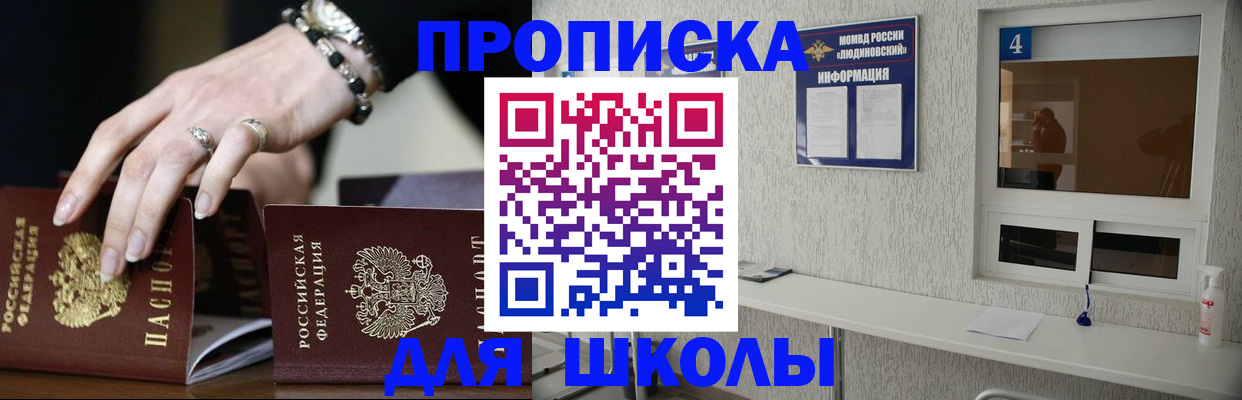 пропишу в квартире в Зеленогорске